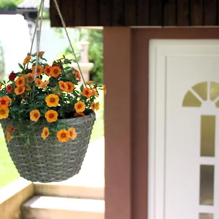 Apartamento Jona, Bled